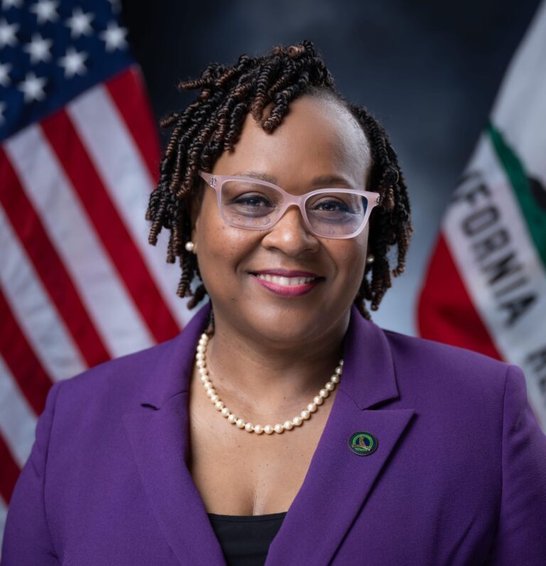 _Assemblymember Lori Wilson Official Headshot-2025-min